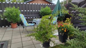 eine Terrasse mit einem Tisch, Stühlen und Topfpflanzen in der Unterkunft Ferienwohnung Schaarschmidt in Kurort Altenberg
