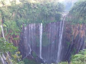 une cascade sur le côté d'une montagne dans l'établissement villas in batu indonesia homestay, à Kotalama