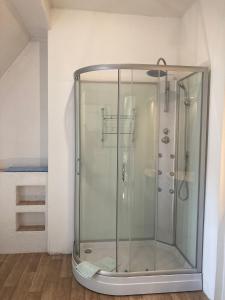 a shower with a glass door in a bathroom at Dorfschule Mollseifen in Winterberg