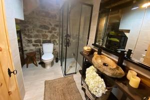 ValcabaにあるTiñones cabaña pasiegaのバスルーム(シャワー、洗面台、トイレ付)