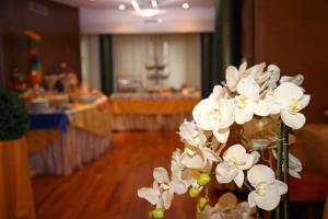 Fotografie z fotogalerie ubytování HR Hotel v Monfalcone