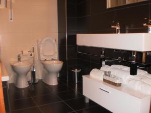 a bathroom with a toilet and a sink at Hotel Santa Apolonia in Bragança +26 photos