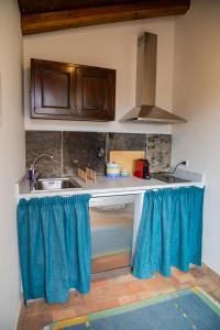 A kitchen or kitchenette at La Cantina Villa di campagna