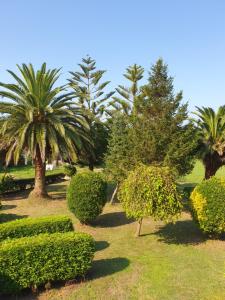 Fotografie z fotogalerie ubytování Casa Arquella v destinaci Cartavio + 17 fotografií