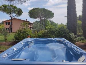 uma banheira de hidromassagem azul num quintal com uma casa em Villa Regina Elena Vittoria em Porcari
