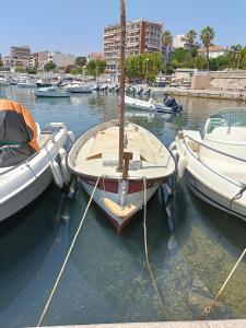 eine Gruppe von Booten, die in einem Hafen angedockt sind in der Unterkunft Le Côte d'Azur in Toulon