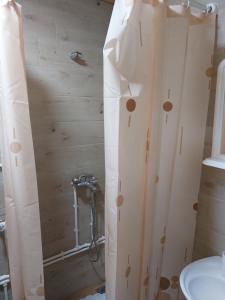 a bathroom with a shower curtain and a toilet at Vule bungalovi in Žabljak