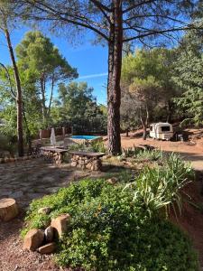 un parque con una mesa de picnic y un árbol en Stone Garden, Casa en plena naturaleza en Uceda