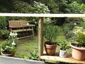 einen Garten mit einer Bank und einigen Topfpflanzen in der Unterkunft 1 Bed Cabin - Sleeps 2 - Garden - Parking - Wifi in Penzance