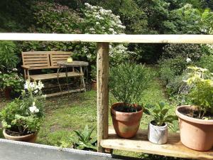 un jardin avec un banc et quelques plantes en pot dans l'établissement Tranquil wood cabin set in a beautiful orchard, à Penzance