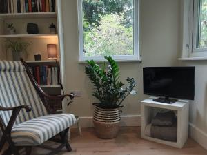 - un salon avec une télévision, une chaise et une plante dans l'établissement Tranquil wood cabin set in a beautiful orchard, à Penzance