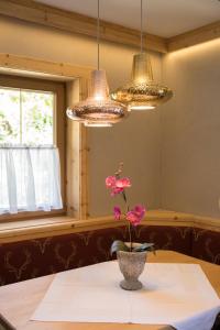 Fotografie z fotogalerie ubytování Appartement Hofmann v destinaci Königsleiten