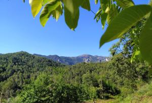 a view of the mountains from the forest at CASAS RURALES LA TOBICA in Yeste