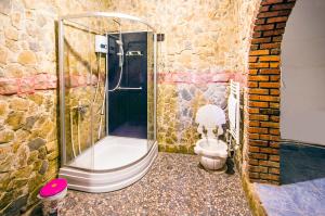 a bathroom with a shower with a toilet in it at Kapadokya Organik Ciftlik Evi in Avanos