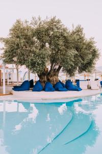 Bazén v ubytování Brown Beach Evia Island, All Inclusive in Eretria, a member of Brown Hotels nebo v jeho okolí