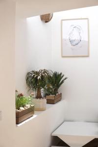 una stanza con tre piante in vaso su un muro di A Casa de Cima - Cacela Velha a Vila Nova de Cacela