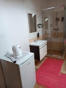 a small bathroom with a shower and a sink at Restaurace a Penzion U Lesa in Havířov