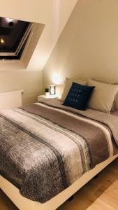 a bedroom with a large bed with a blue pillow at Appartement Anne-Rose in Beernem