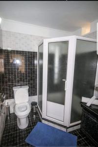 uma casa de banho com um WC e uma cabina de duche em vidro. em Villa Soorkea em La Gaulette