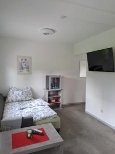 ein Schlafzimmer mit Bett und Flachbildfernseher in der Unterkunft Ferienhaus Walcher in Sankt Martin am Grimming
