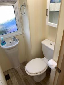a bathroom with a toilet and a sink and a window at Lovely Static Holiday Caravan near Whithorn in Whithorn