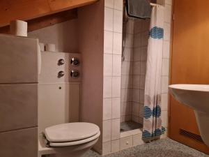 La petite salle de bains est pourvue de toilettes et d'un lavabo. dans l'établissement Ferienwohnung am See mit Bergblick & Sonnenbalkon, à Blaichach