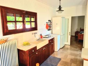 a kitchen with a counter and a refrigerator in it at Spacious farmhouse with big yard and fireplace in Evangelístria