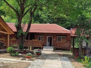 een klein huis met een veranda en een hek bij Dumbrava Minunată in Peşteana