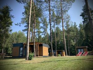 uma cabana na floresta com duas cadeiras e árvores em Makosieje Resort-komfortowy domek 15m od jeziora,widok na jezioro,ogrzewanie,wi-fi em Makosieje