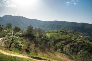 auliculiculiculiculiculiculiculiculiculiculiculiculiculiculic dans l'établissement EVAAN RESORTS THE FOLIAGE, à Mukteswar