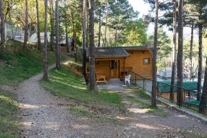 una cabaña de madera en el bosque con un camino que conduce a ella en Bungalows del Camping Pedraforca, en Saldes