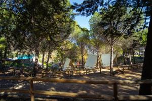 Príroda v okolí luxusného stanu