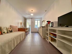 Una sala de estar con un sofá y un televisor de pantalla plana. en Casa Poliglota - 100m de la Cité Médiévale, en Carcassonne