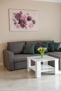 Posezení v ubytování Apartman MaKris No 4 + 37 fotografií