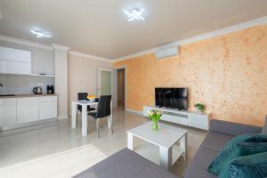 TV a/nebo společenská místnost v ubytování Apartman MaKris No 4