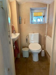 ein kleines Bad mit WC und Waschbecken in der Unterkunft Silver Linden Cottage in Horní Police
