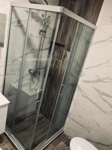 a shower with a glass door in a bathroom at Apartman LUX in Bijeljina