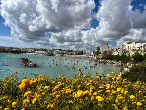 a group of people in the water on a beach at B&B Le Palombelle Casa Vacanze in Otranto