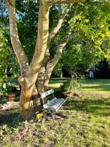 Fotografia z galérie ubytovania Silver Linden Cottage v destinácii Horní Police