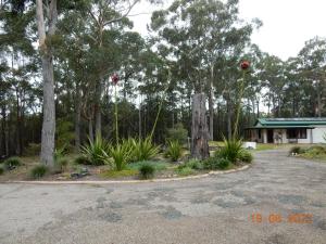 a house with a lot of plants and trees at Self-contained Cabin 10 min to Huskisson in Tomerong
