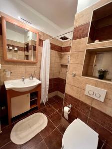 een badkamer met een toilet en een wastafel bij Apartmán Labská 21 ve Špindlerově Mlýně in Špindlerův Mlýn