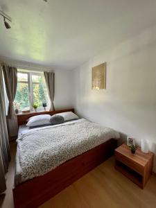 a bedroom with a large bed and a window at Apartmán Labská 21 ve Špindlerově Mlýně in Špindlerův Mlýn