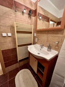 a bathroom with a sink and a shower at Apartmán Labská 21 ve Špindlerově Mlýně in Špindlerův Mlýn