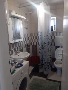 Baño pequeño con lavabo y aseo en Apartmani Petrović SEMČE Suva Planina, en Gradašnica