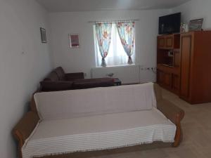TV a/nebo společenská místnost v ubytování Apartmani Petrović SEMČE Suva Planina