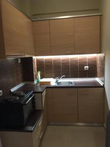 a small kitchen with a sink and a counter top at Apartment GM in Neoi Epivates