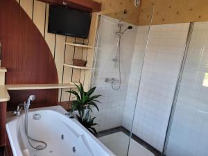 een badkamer met een bad en een douche en een tv bij La terrasse, jacuzzi et vue mer à 100m de la plage in Donville-les-Bains