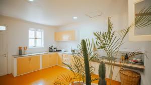 a kitchen with yellow cabinets and a potted plant at Villa Passiflora Zanzibar in Jambiani