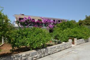 Zahrada ubytování Apartments by the sea Prizba, Korcula - 149