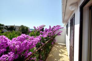Balkón nebo terasa v ubytování Apartments by the sea Prizba, Korcula - 149
